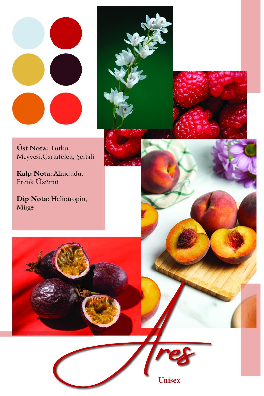 Ares | Inspired by Tiziana Terenzi Kirke 100ml