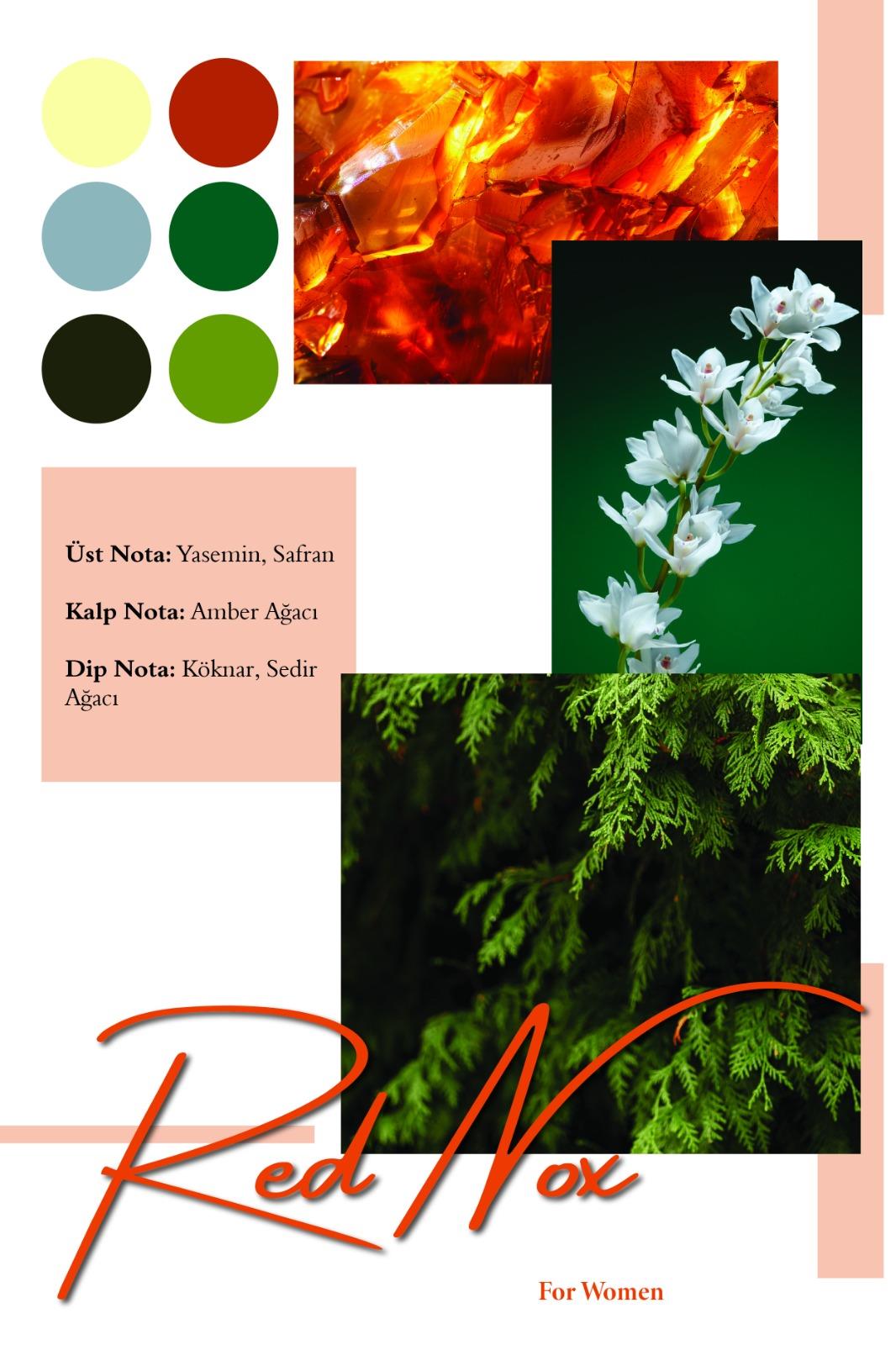 Red Nox | Inspired by Bacarrat Rouge | 100ml