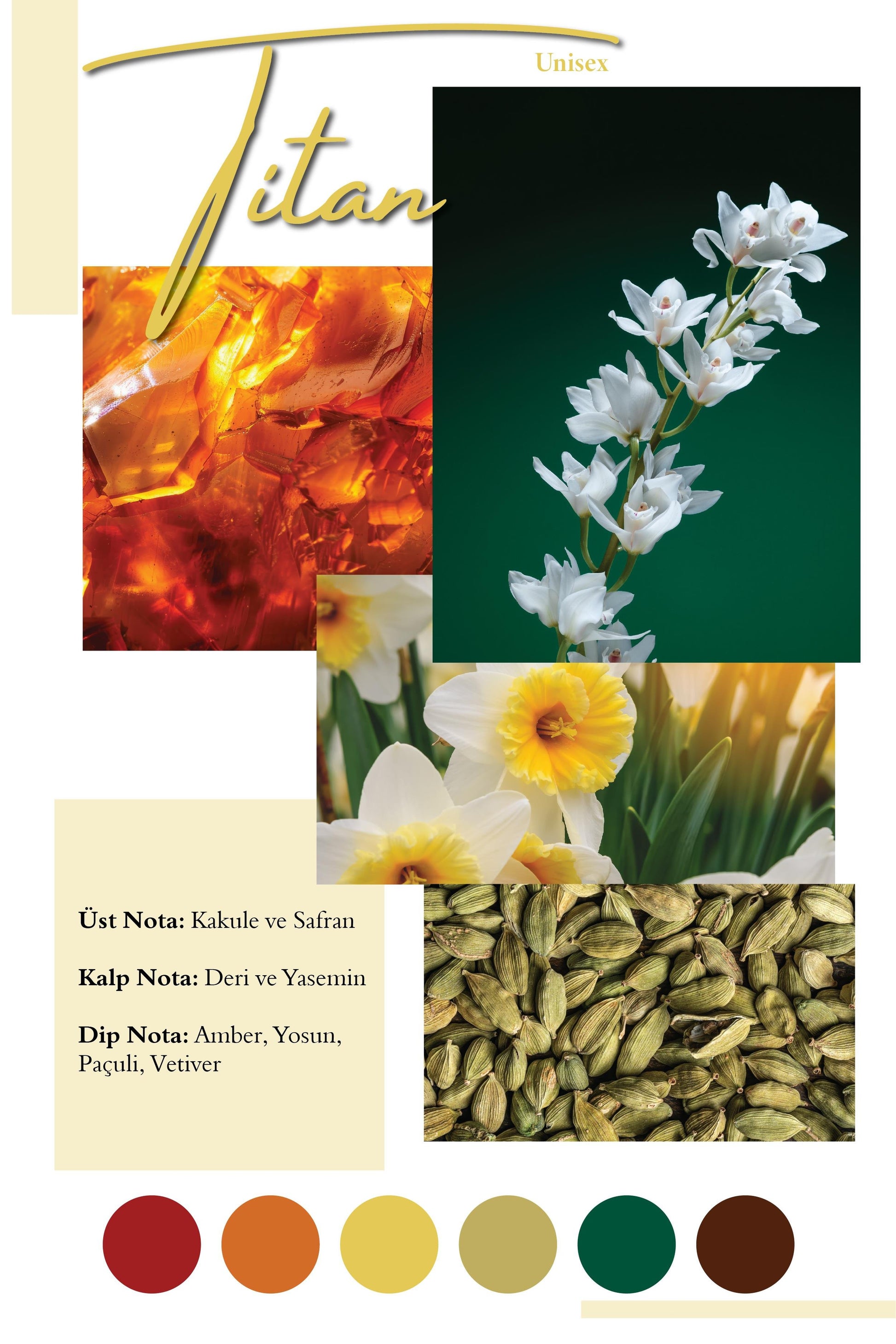 Titan | Inspired by Ombre Leather 100ml